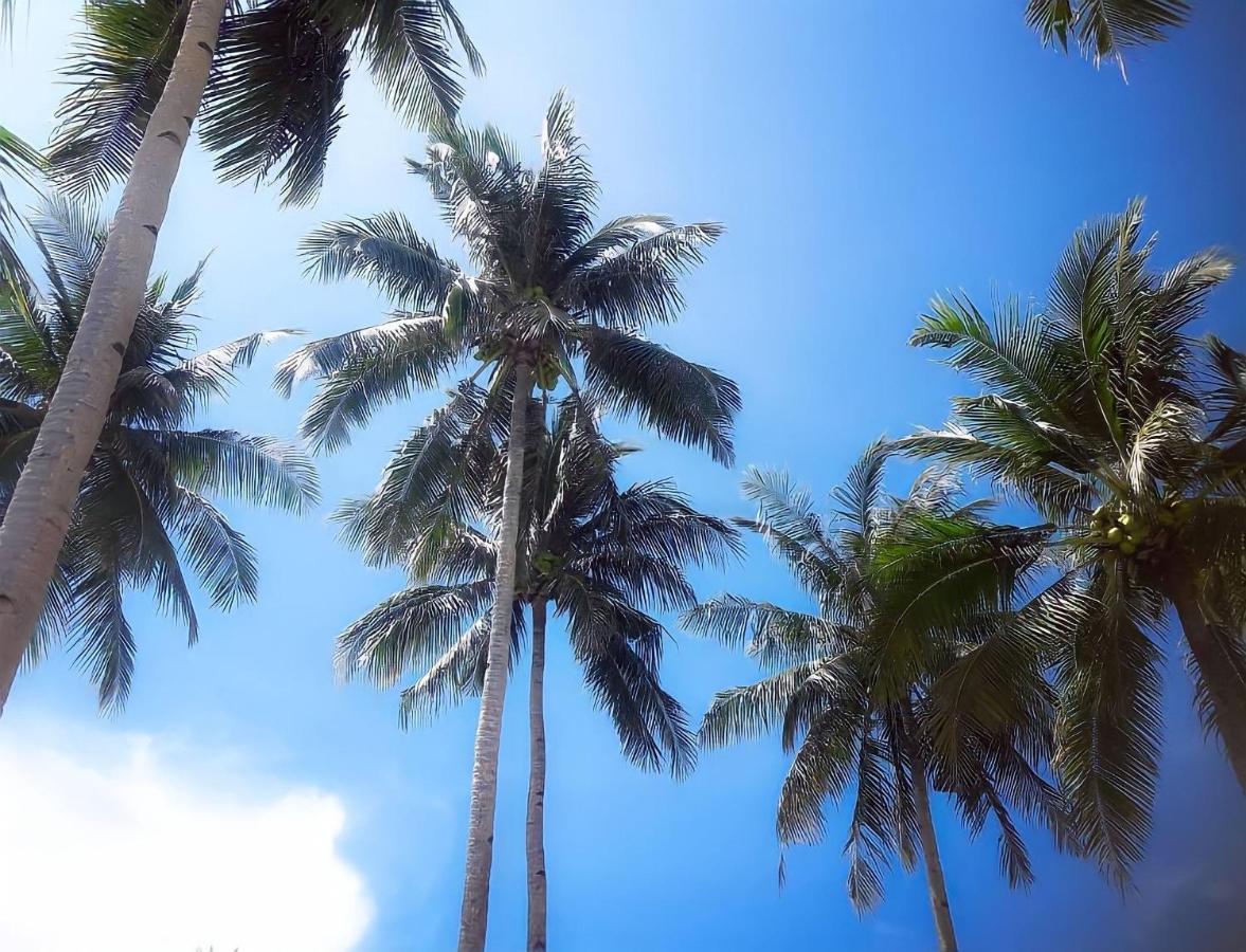 Siargao Sunflower Suites Хенерал Луна Екстериор снимка